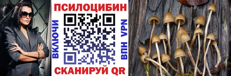 Галлюциногенные грибы прущие грибы  даркнет сайт  Реутов 